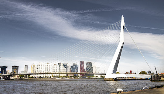 Verkoop makelaar Rotterdam